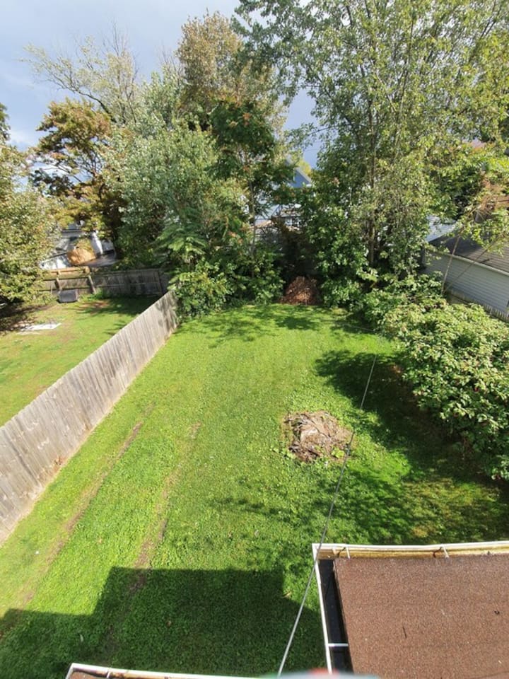Spacious Back Yard