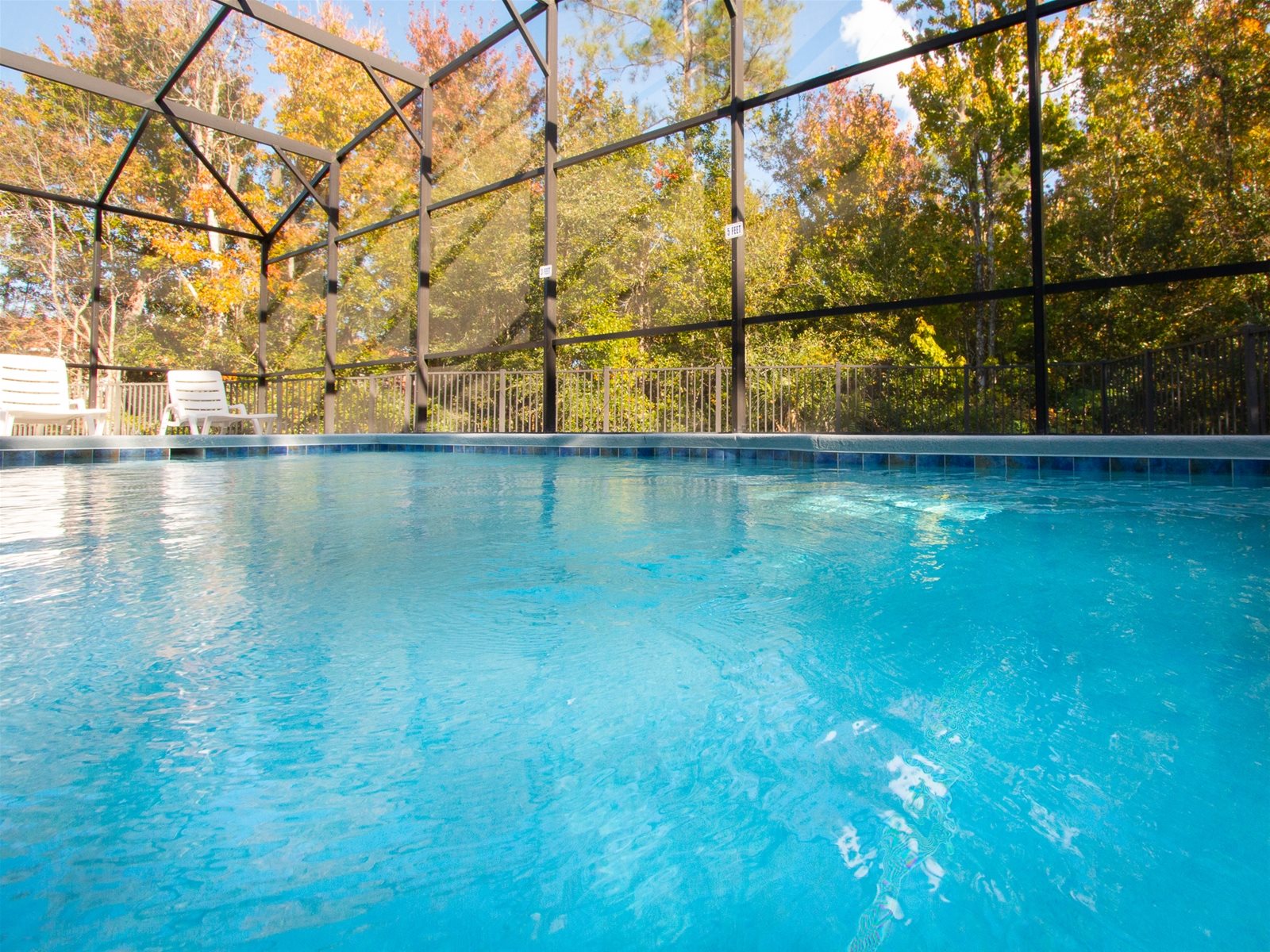 Relaxing views of secluded nature from your Private Screened Pool.