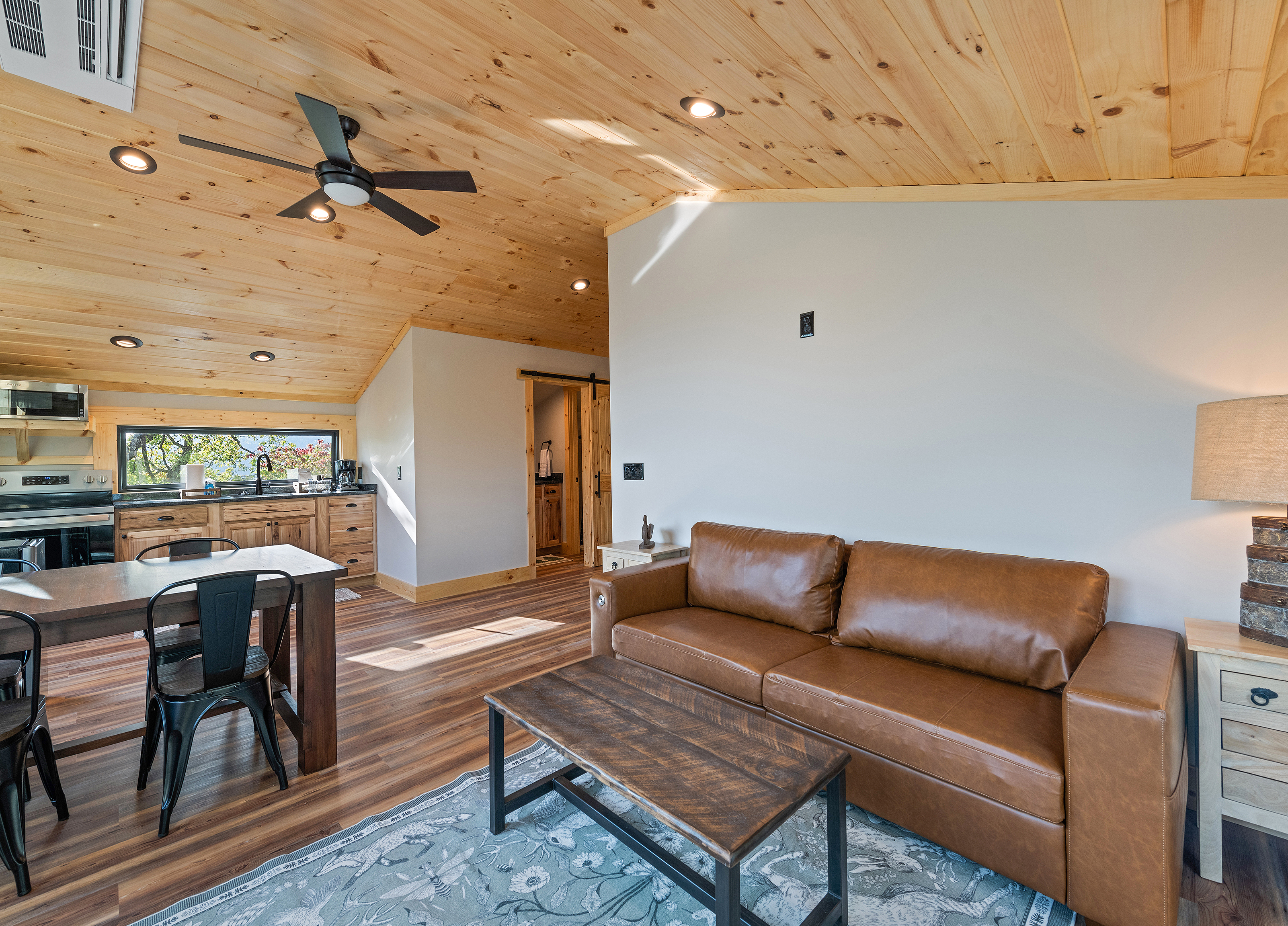 Garage Apartment Livingroom