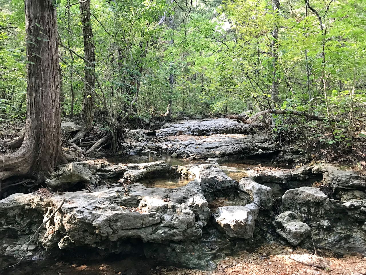 Creek right outside back yard