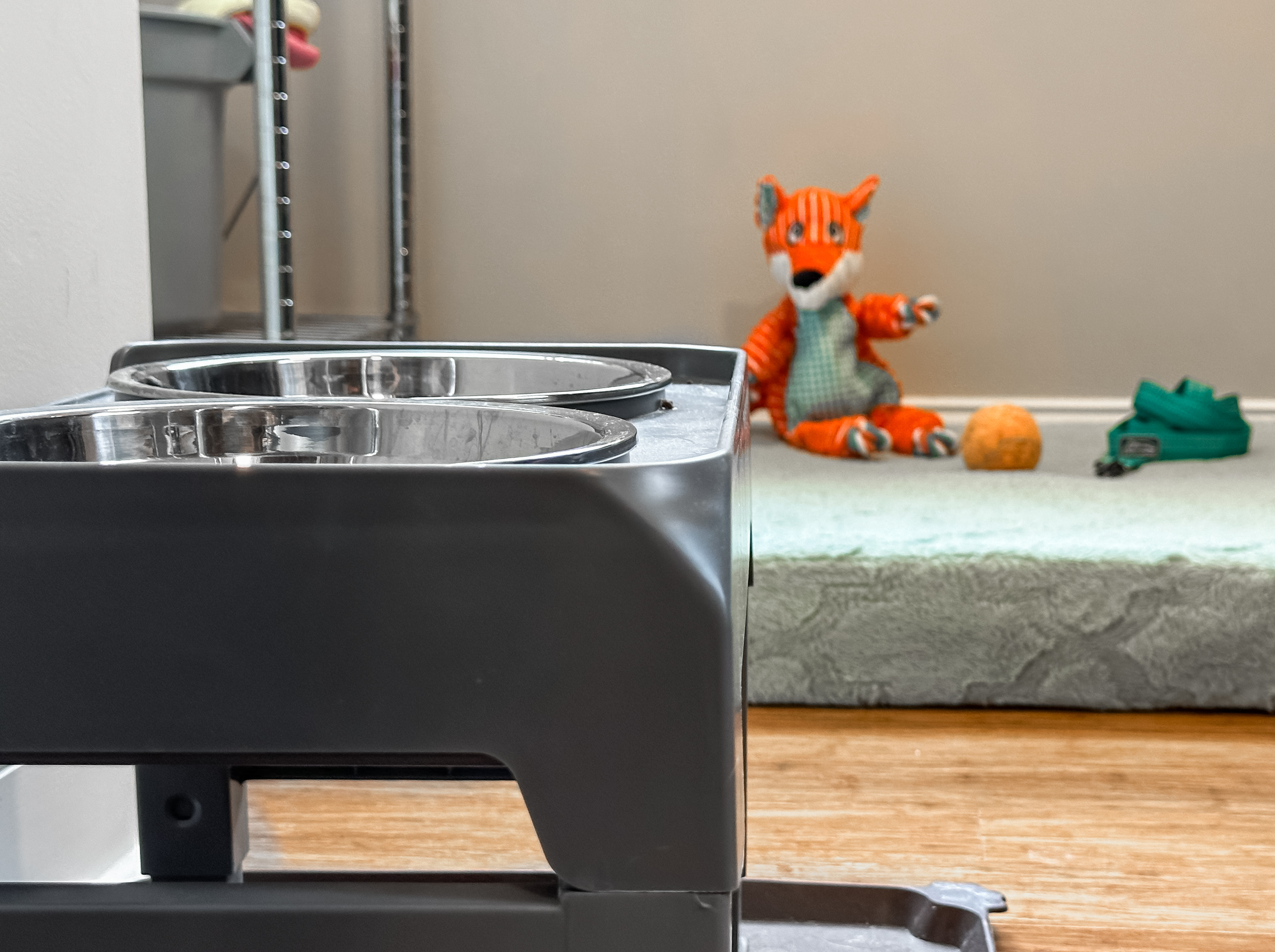 ...and our specialty pet station!