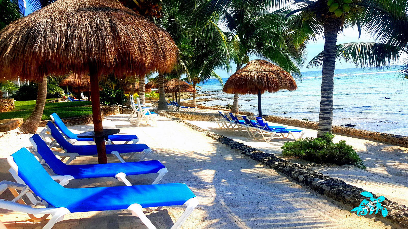 Updated Spacious Beachfront=Snorkeling,Gorgeous,Pool,Amenities & Views 2
