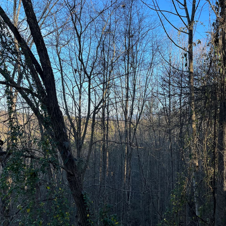 Seasonal mountain view in winter from the back porch.