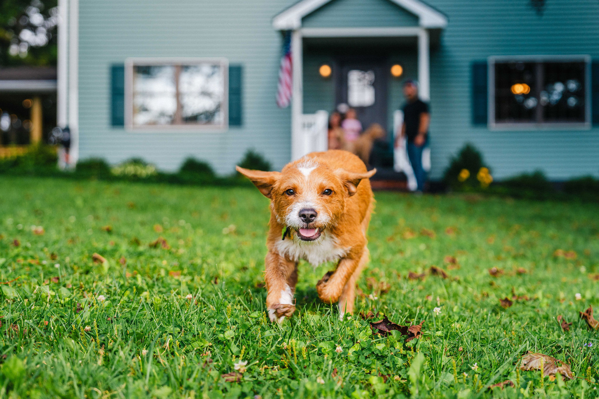 🐶 No pet fees. No size limits within reason. Just bring them.