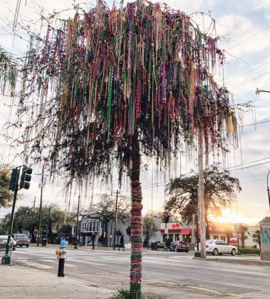 Beaded tree after Mardi Gras floats have passed thru