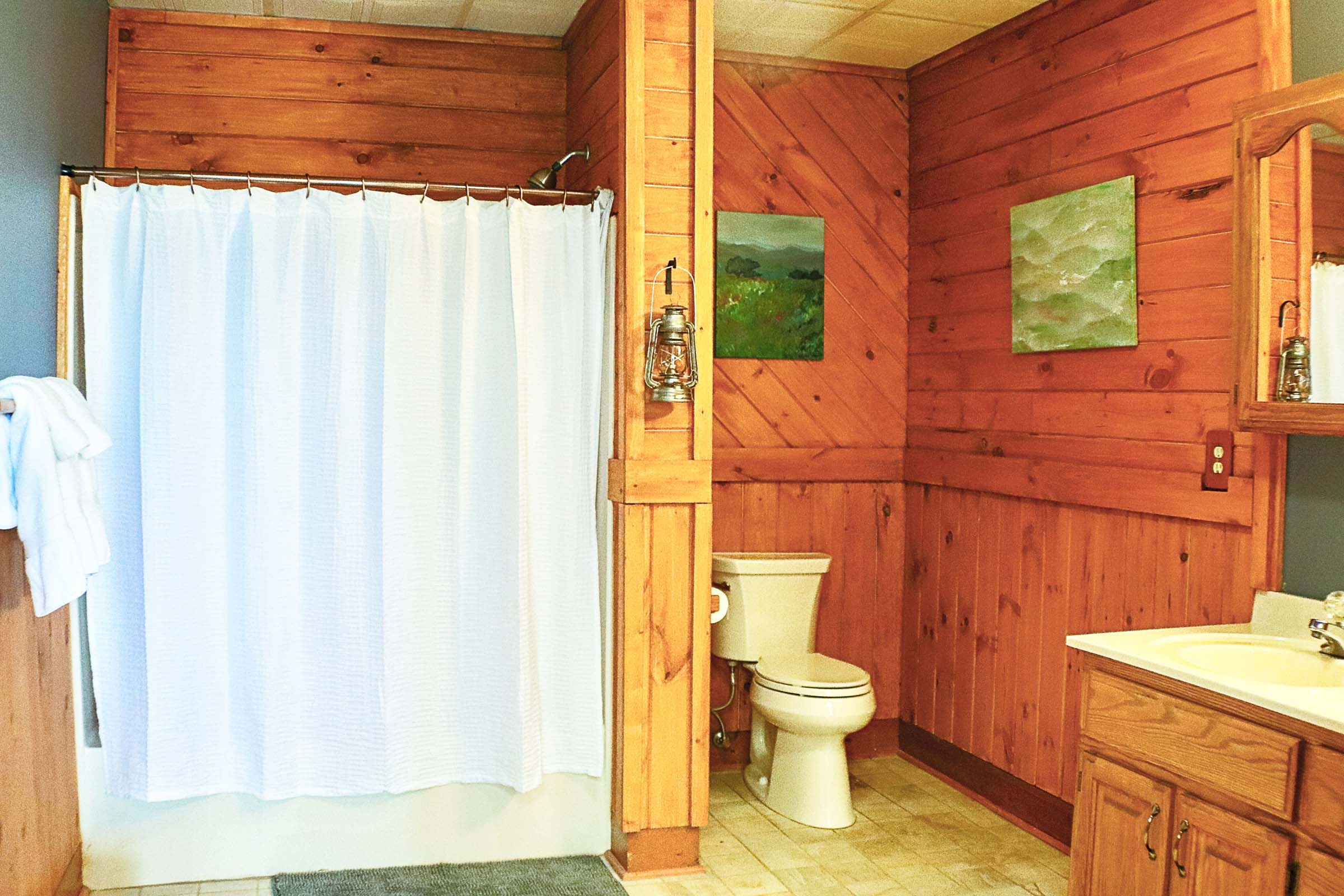 large middle bathroom in the middle of the lower level of the Hive Lodge