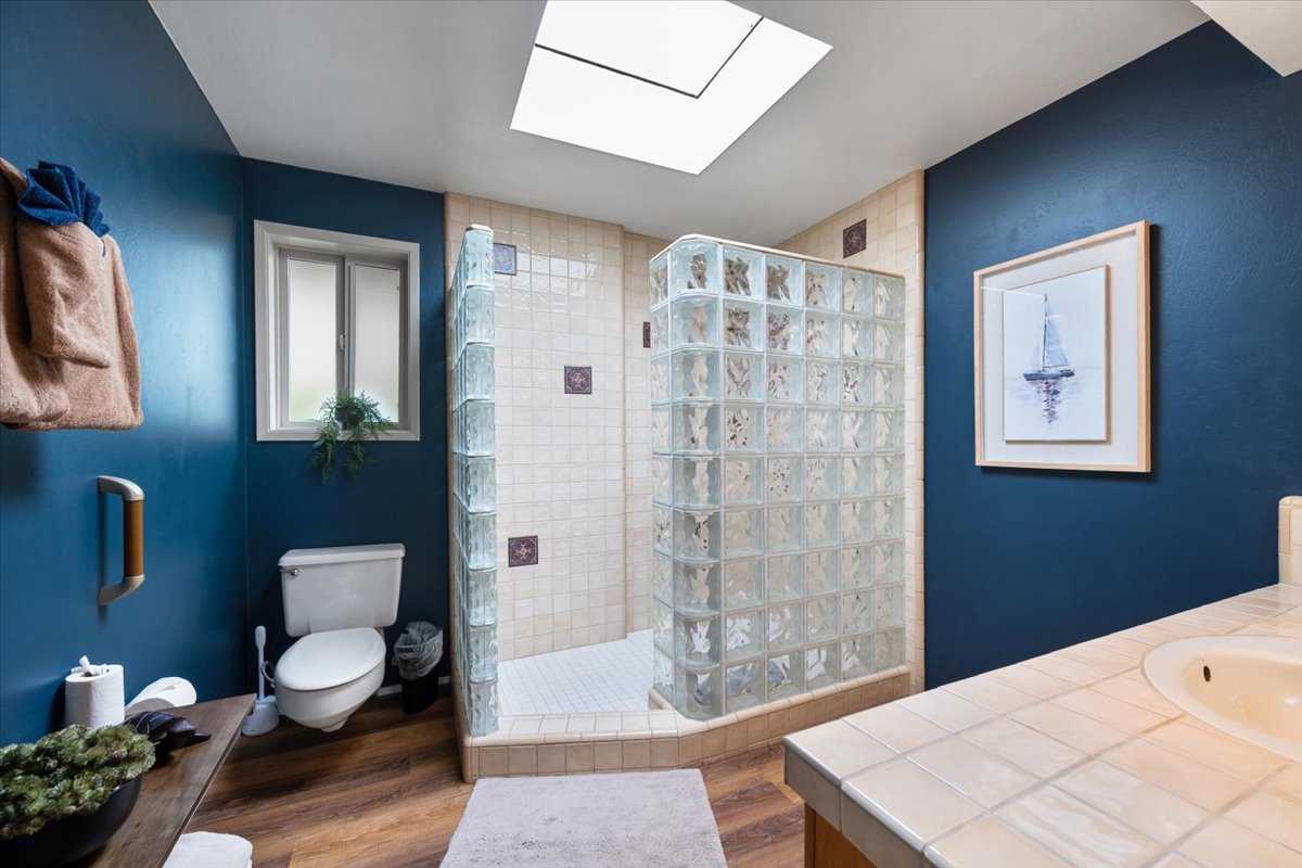 Hall bathroom- walk in shower