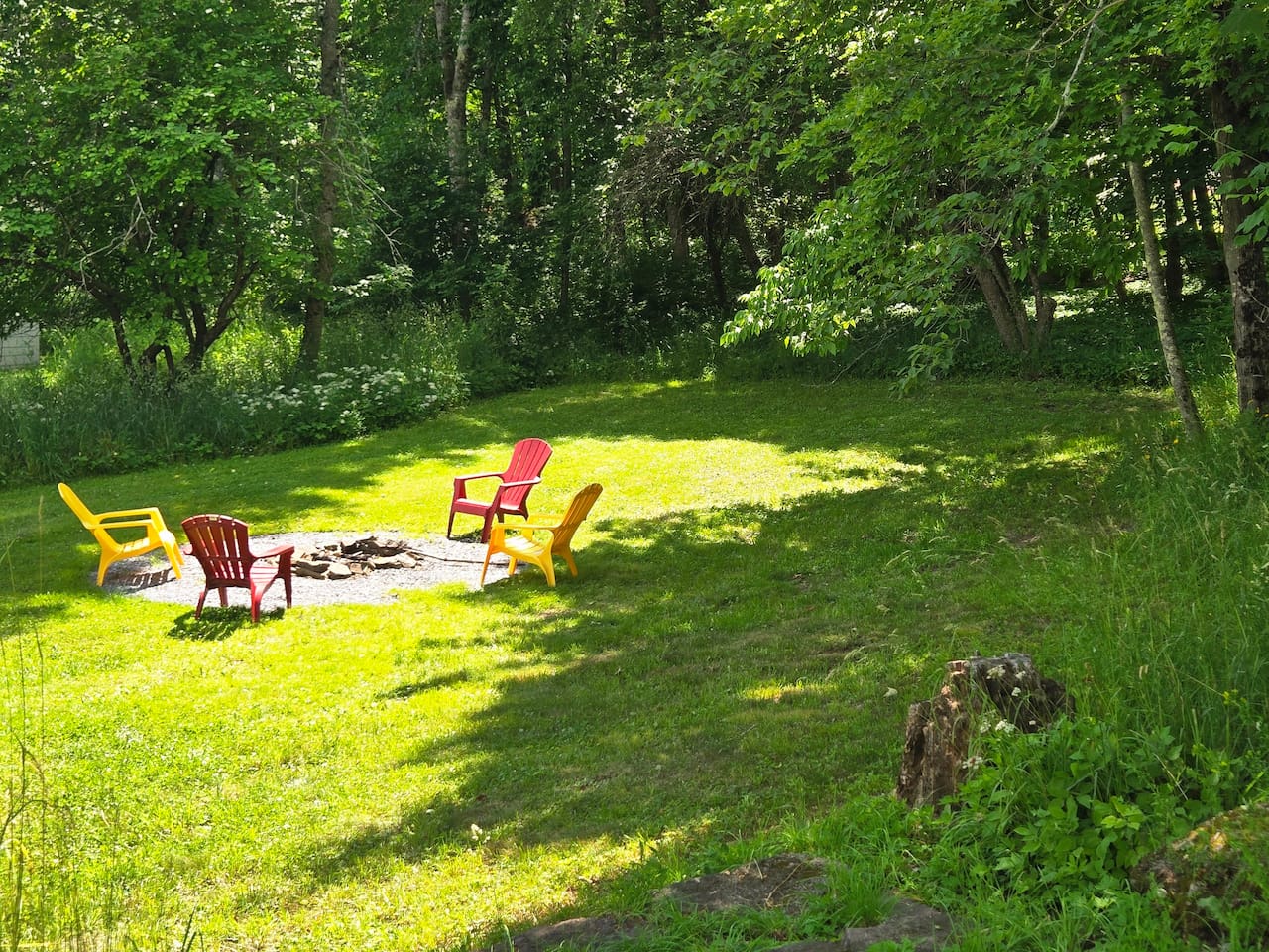 Backyard