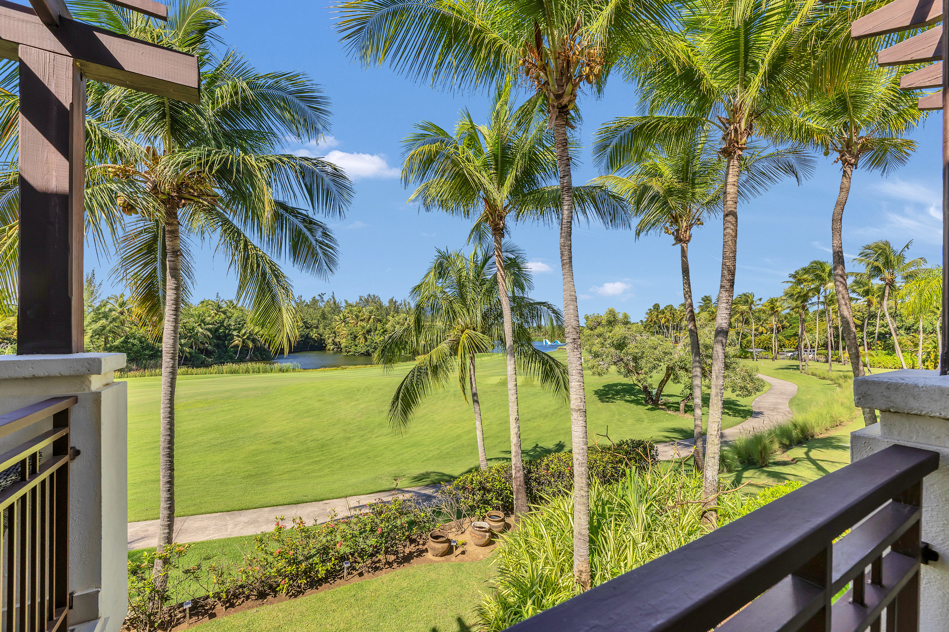 Patio View