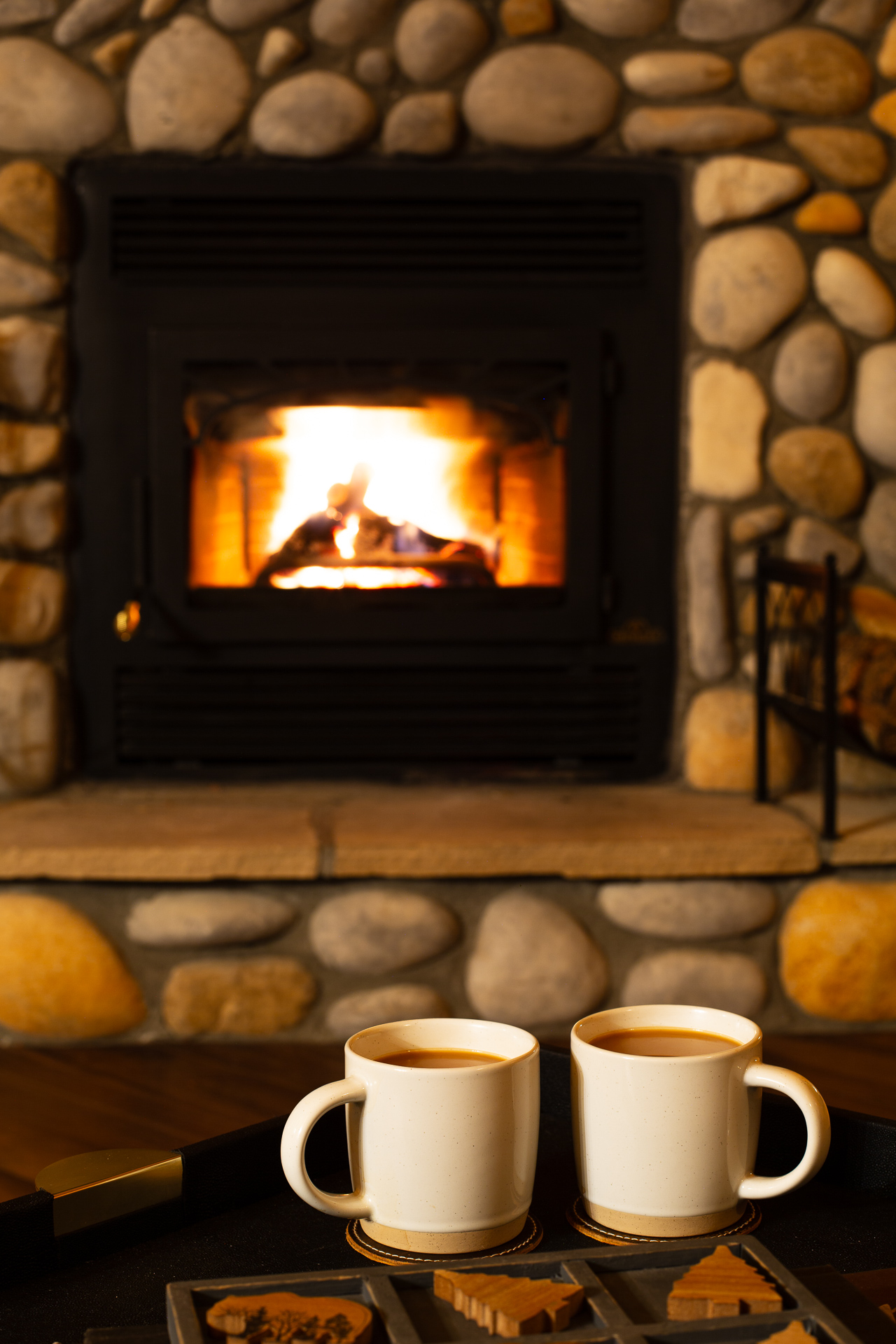 Cozy Wood Buring Fireplace