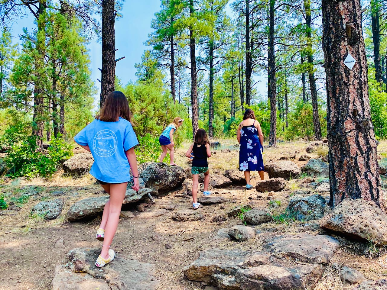 Fun hiking trails for all ages.