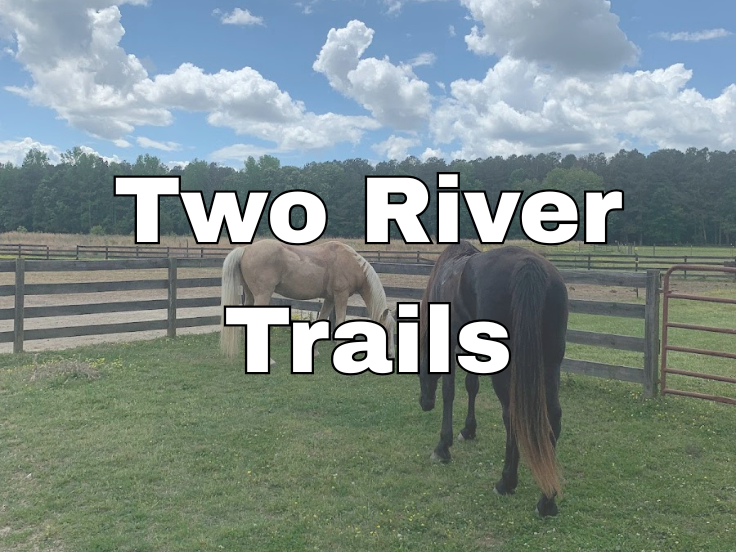 Scenic Outdoor Retreat: Enjoy tranquil views and explore the beautiful horse trails nearby!