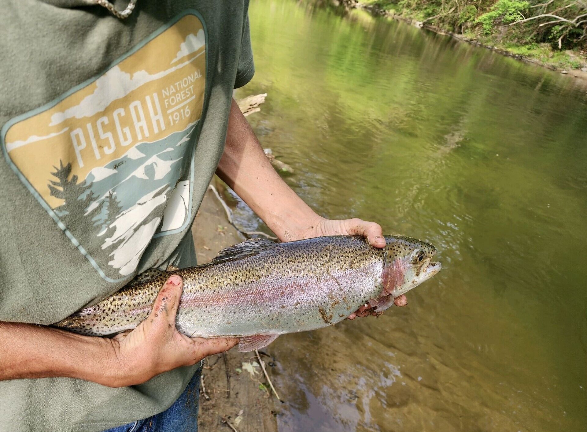 Stunning rainbow trout caught in Spring Creek. There are rainbow, browns, & bass