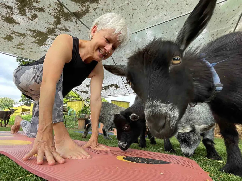 Do you like yoga? Do you like goats? This may be an experience to try while visiting the island.