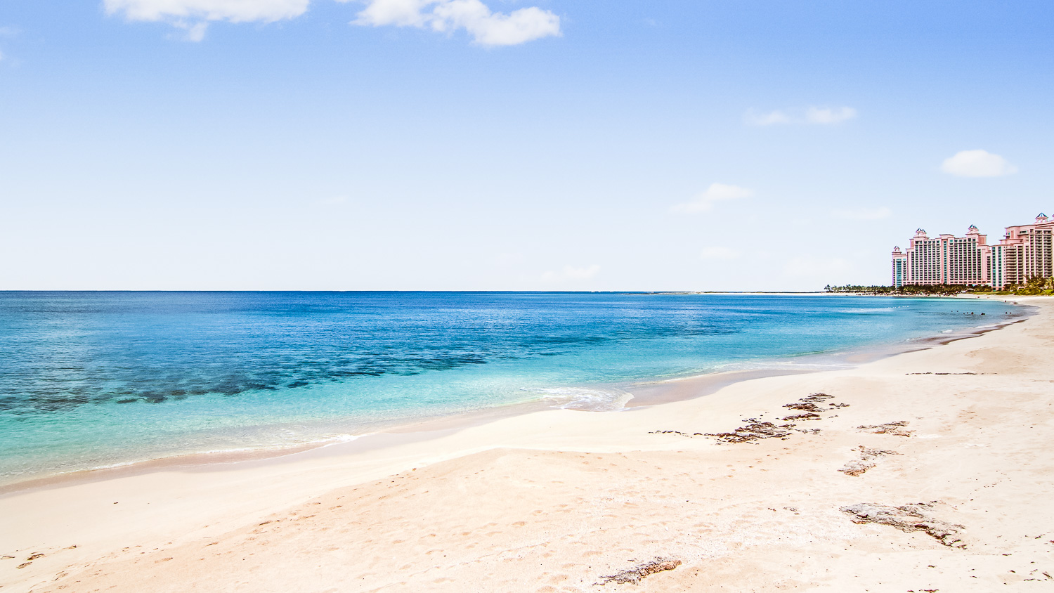 Just a hop, skip and jump to the Reef at Atlantis