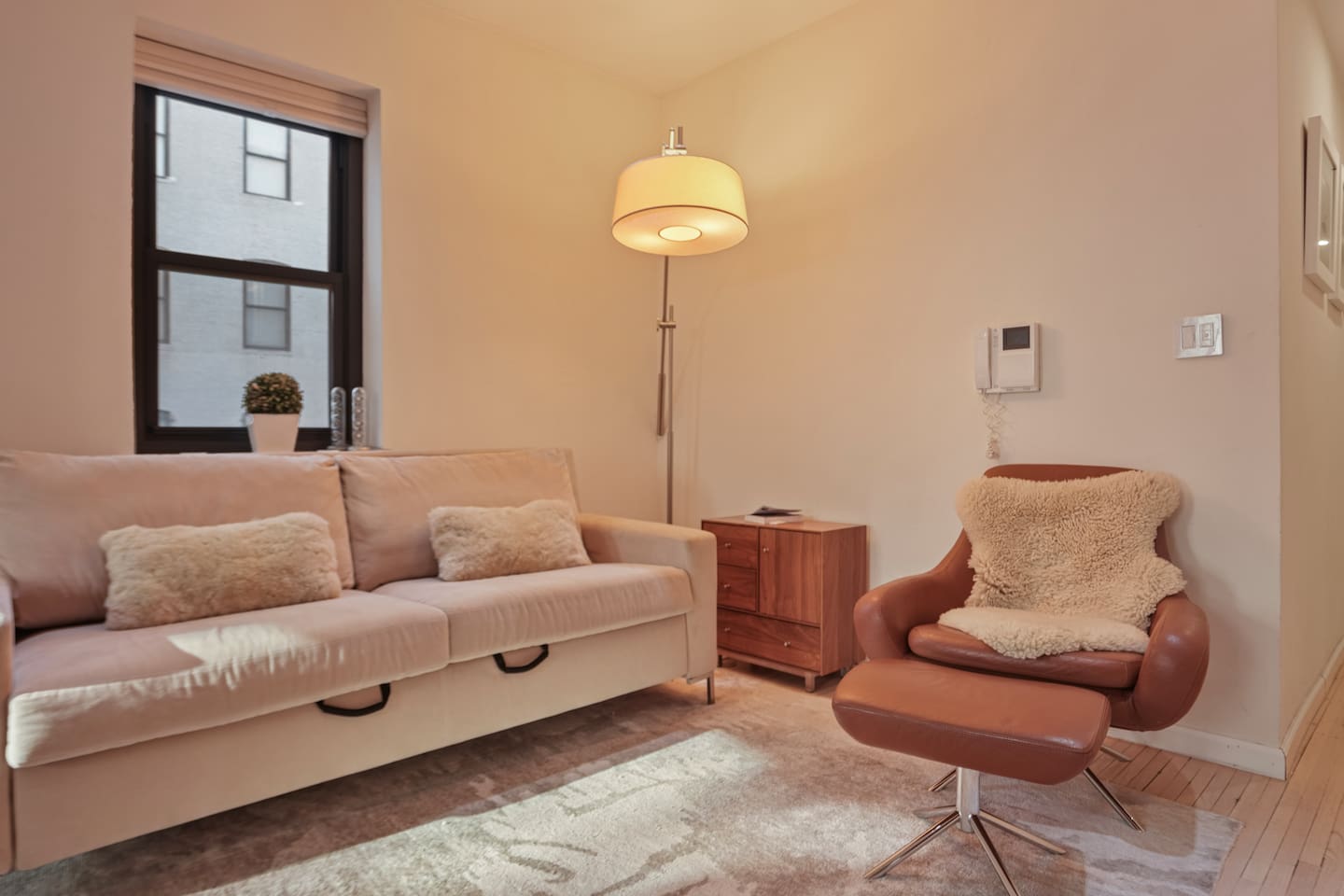 Living Room - Sofa Bed