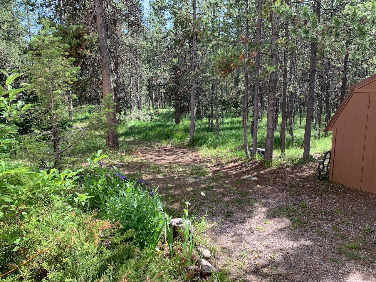 1 Acre Private Surrounding Forest Area