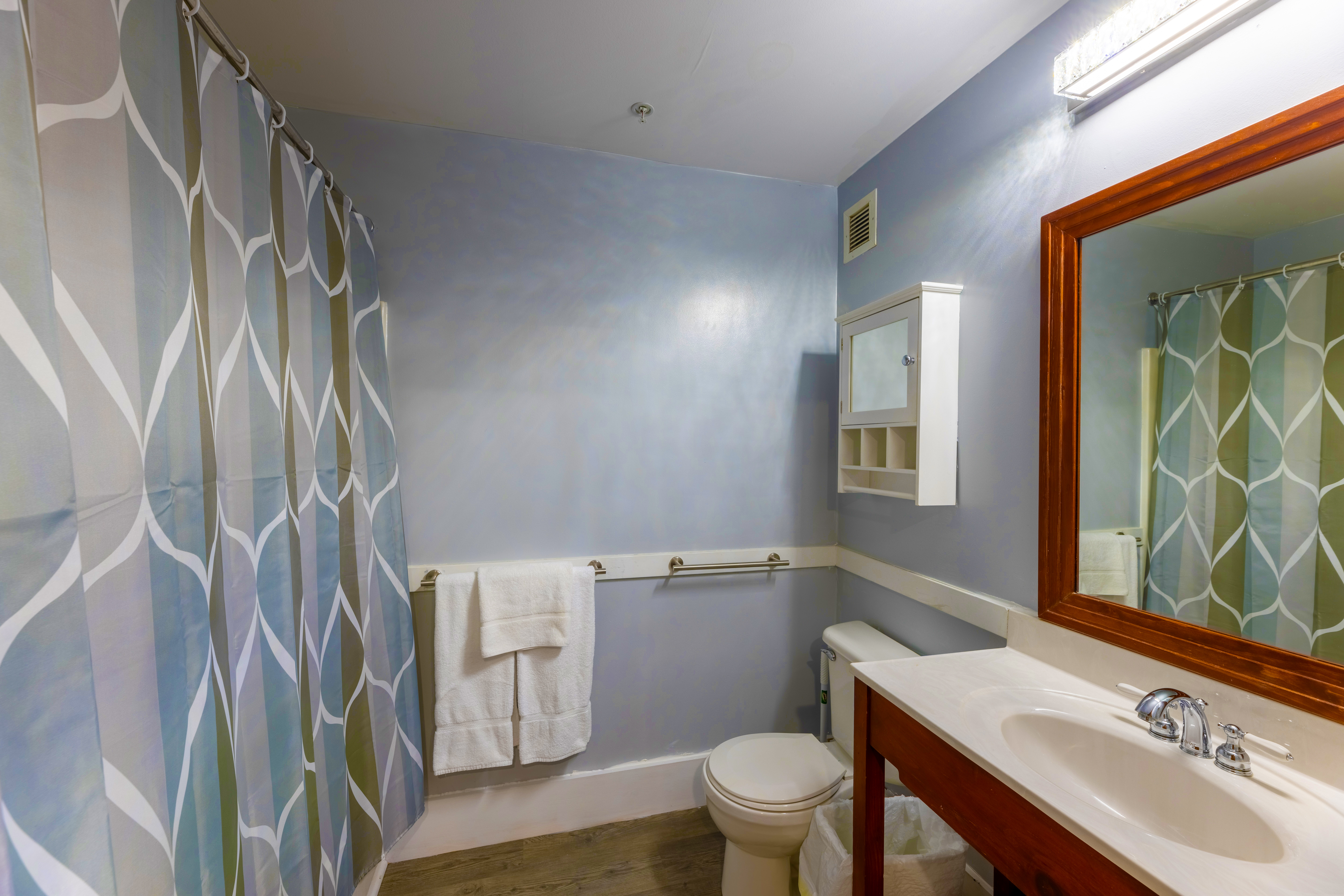 Allegheny Springs · Unit 241 — Full Bath