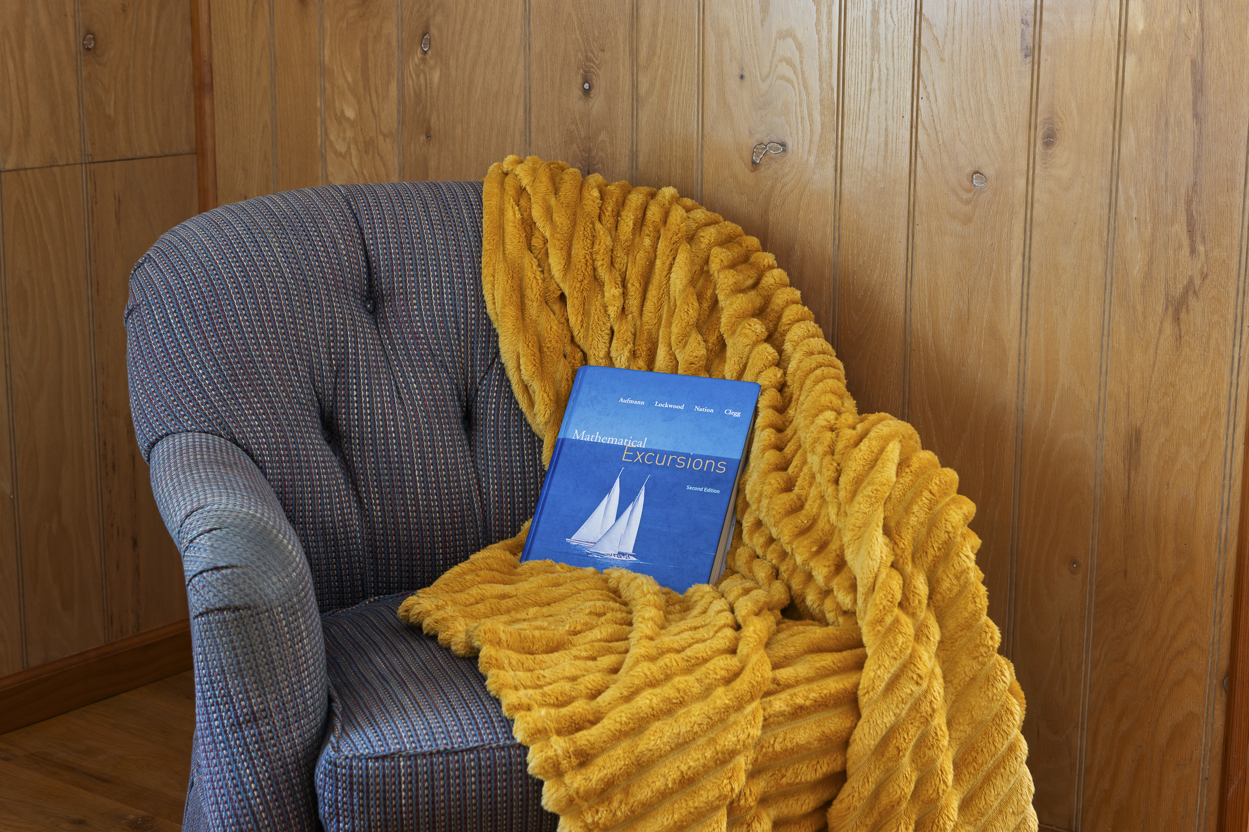 Cottage Reading Nook: Unwind in style with a plush chair, vibrant throw, and a great read!