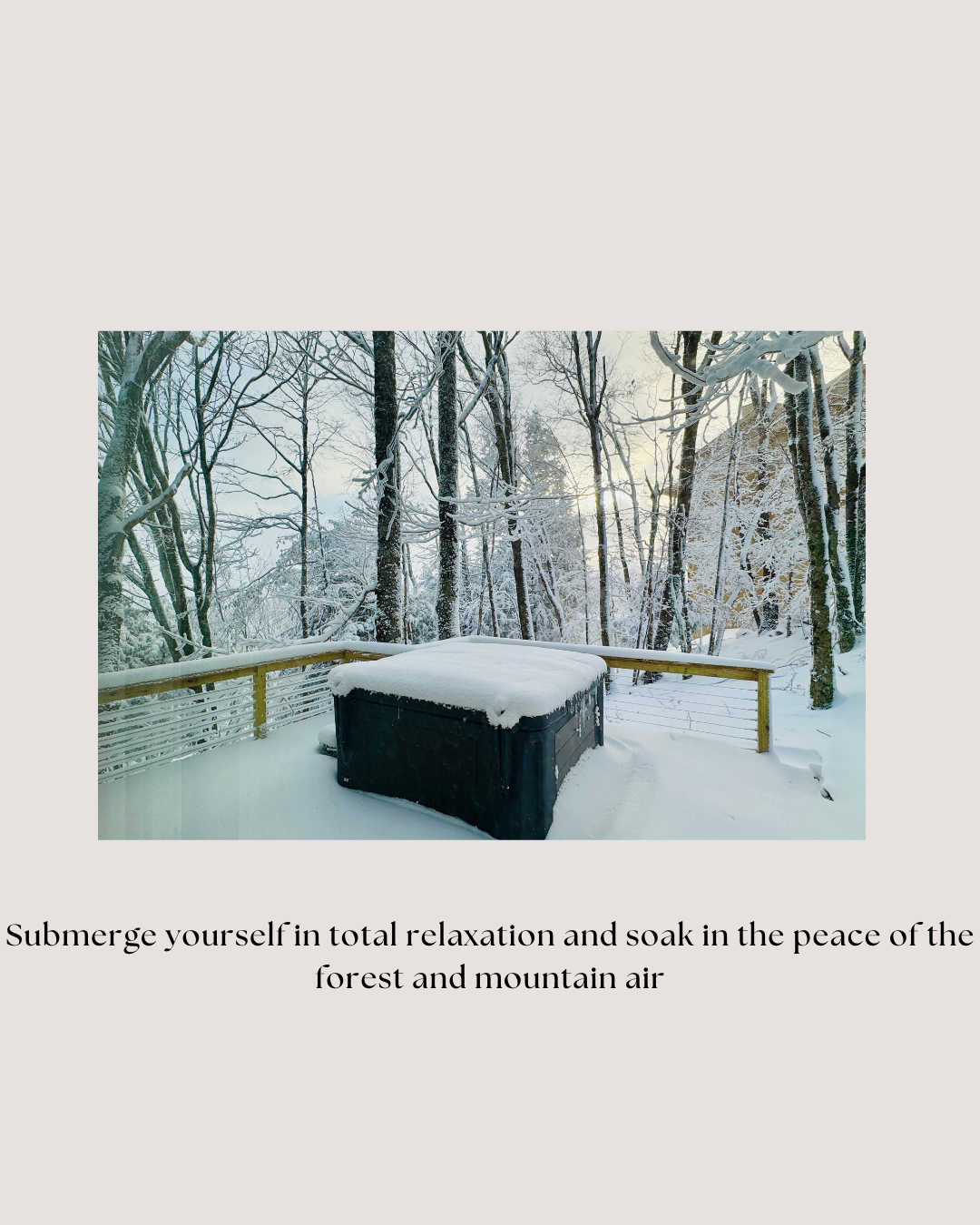 Relax in the hot tub, nestled in a scenic forest.  Enjoy the mountain air.  Access via the side deck off the game/laundry room, on the middle level.