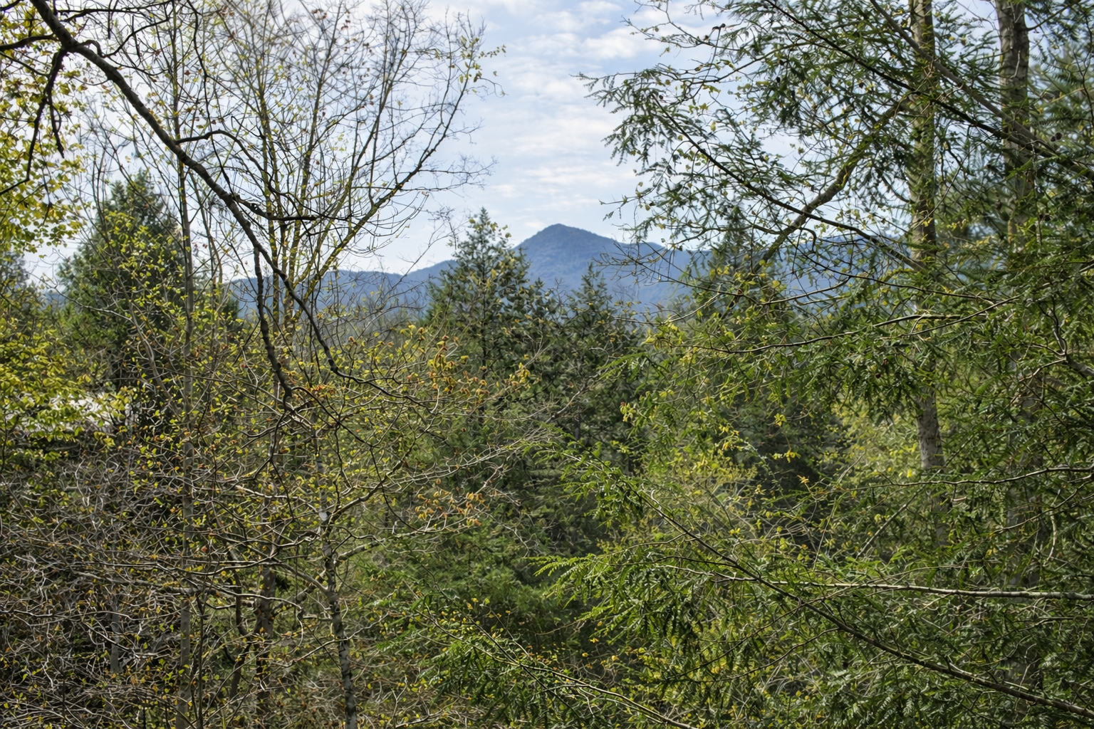 View from balcony/cabin.