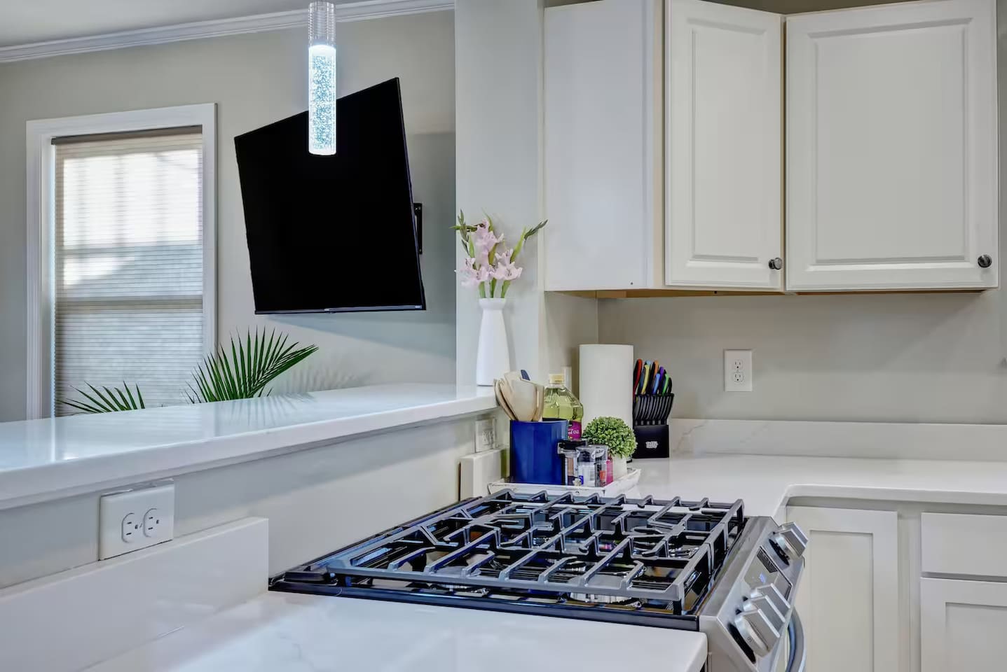 Chef's dream gas range