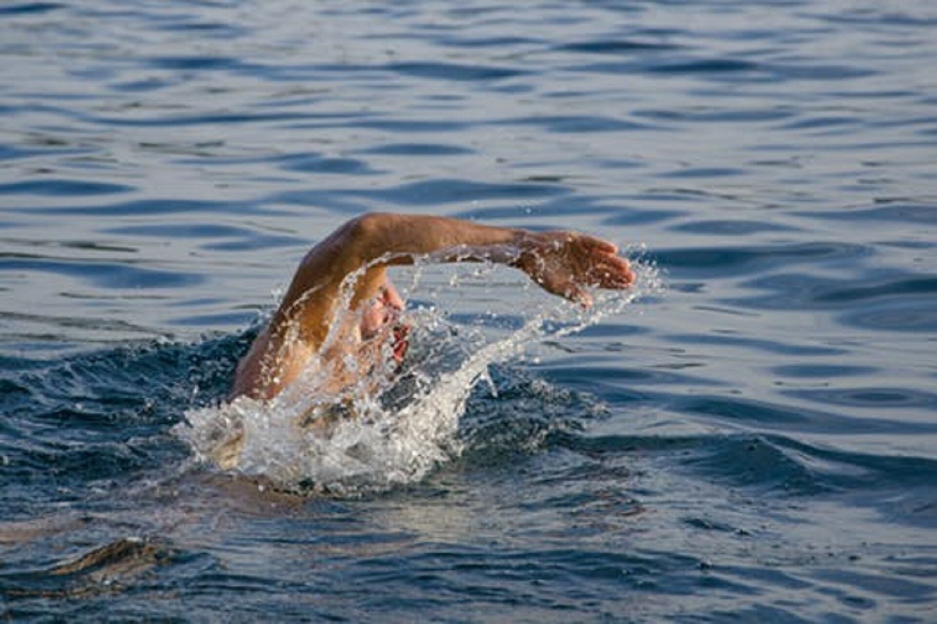 Majestic swim  right off your private pier or private floating dock @Singer Lake