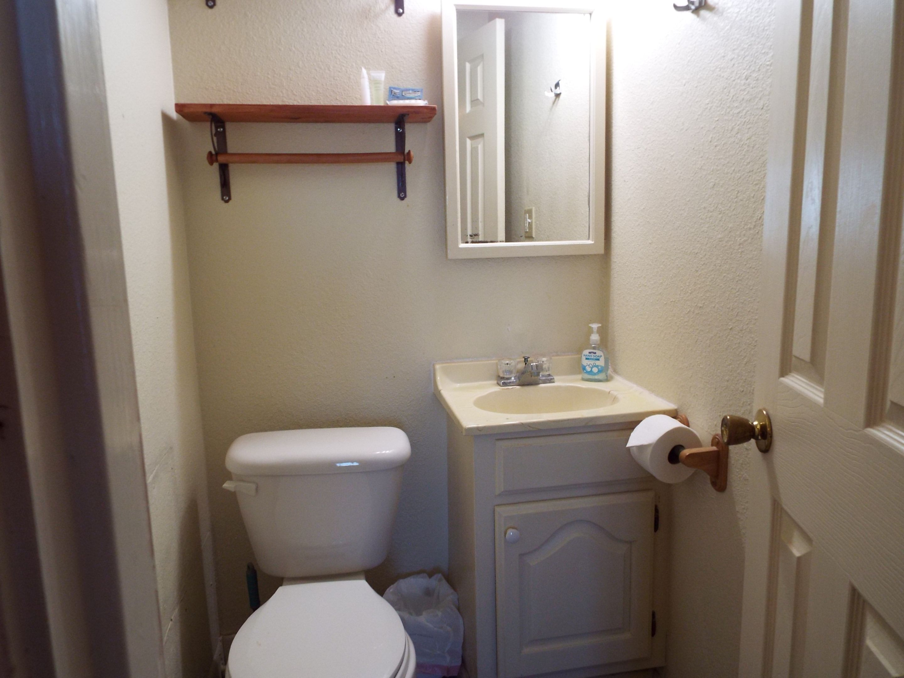 Master Bath has tub-shower combo