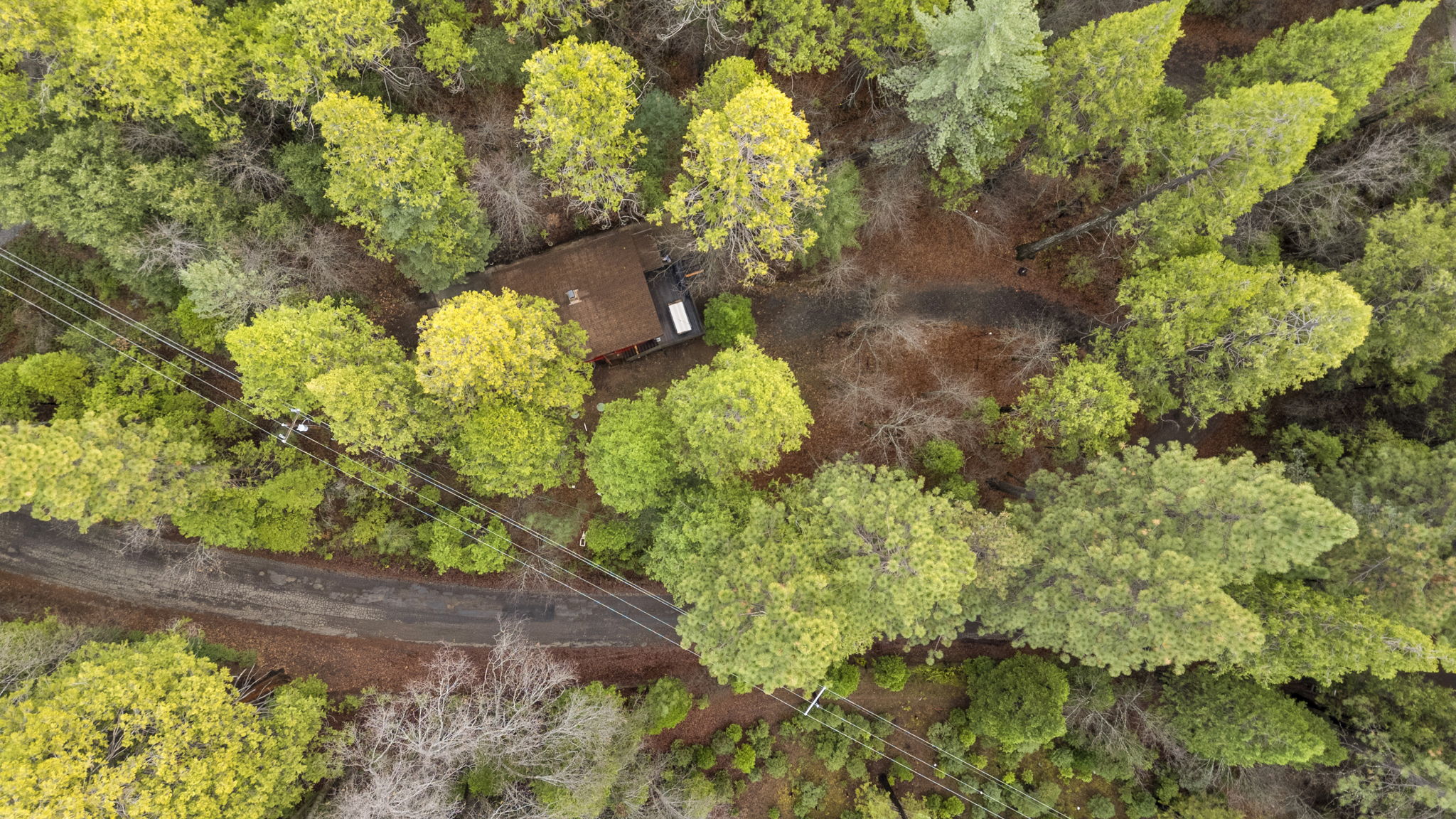 The cabin sits on 2 beautiful forested acres. There are frisbee golf cages scattered throughout.