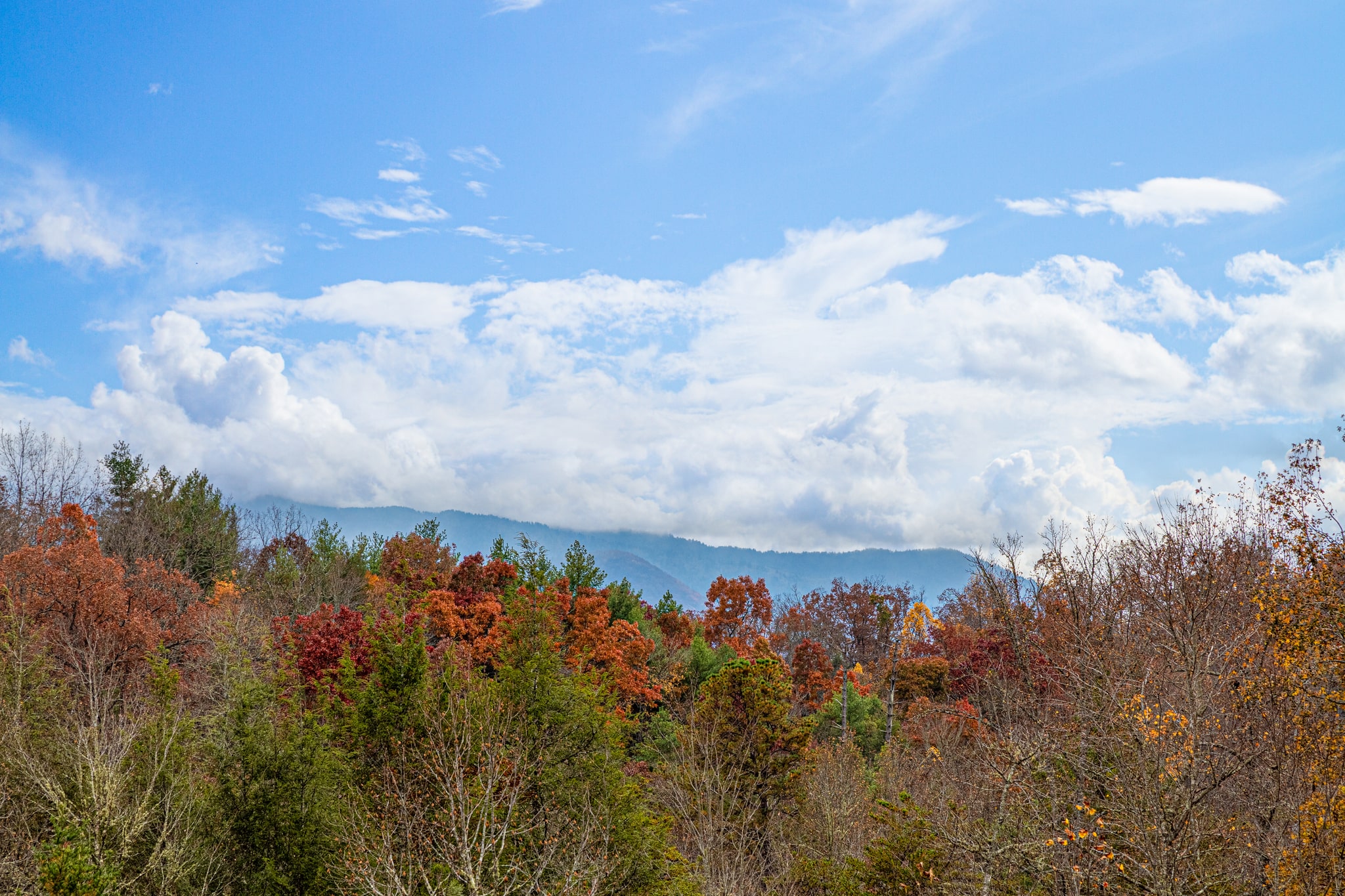 Fall time, view from the deck