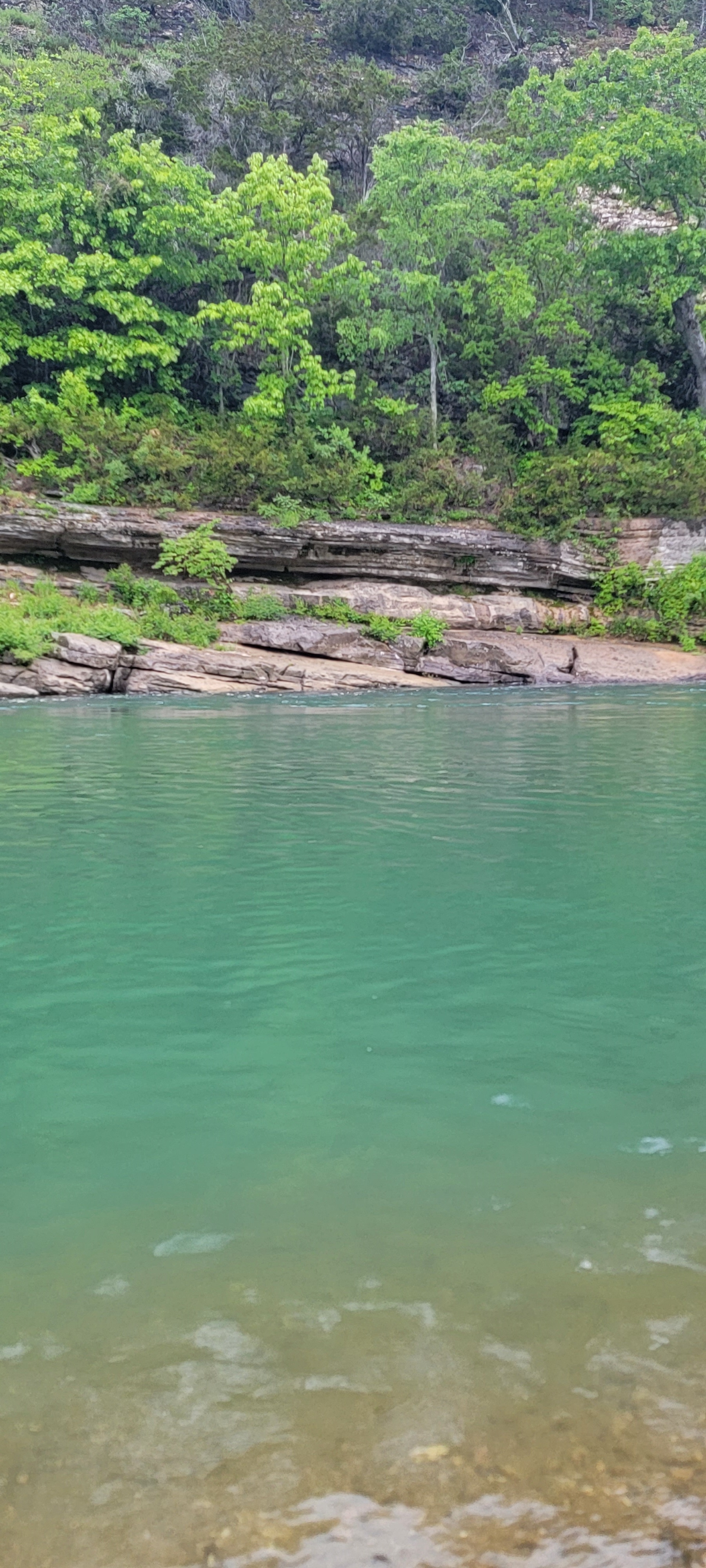 Buffalo River 4.4 miles from Nature's Loft