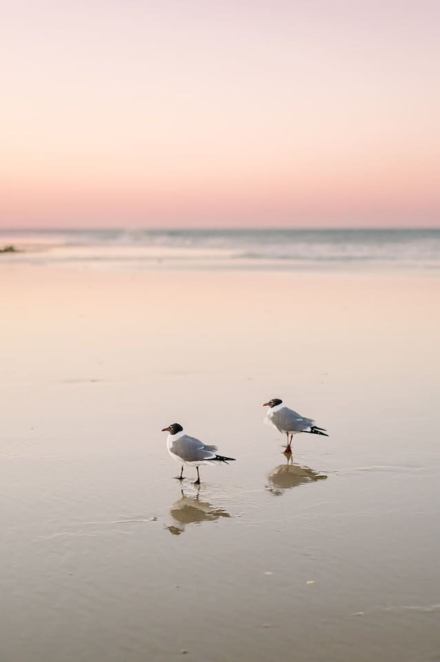 Beach