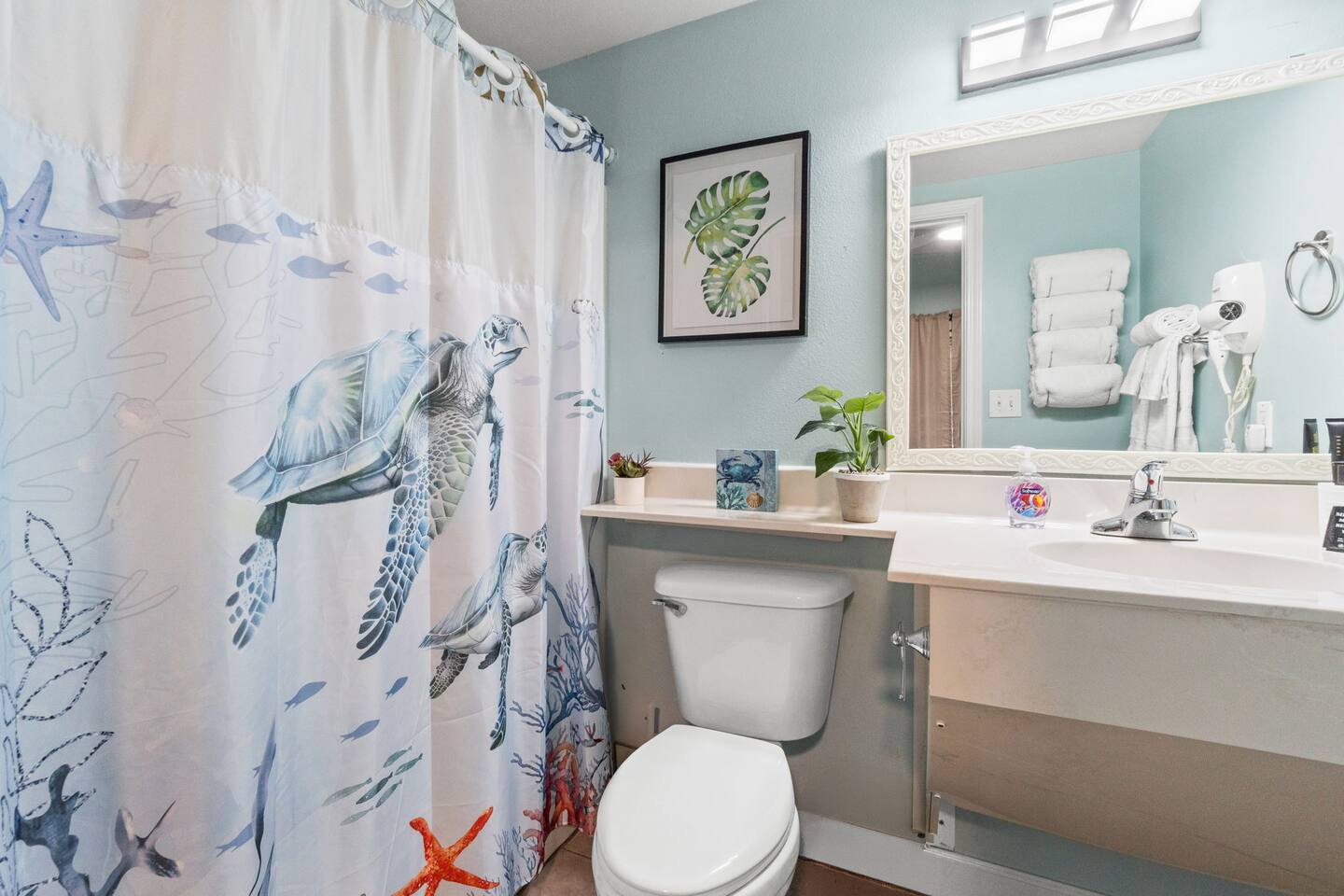 6 web or mls 5 print FDP00015