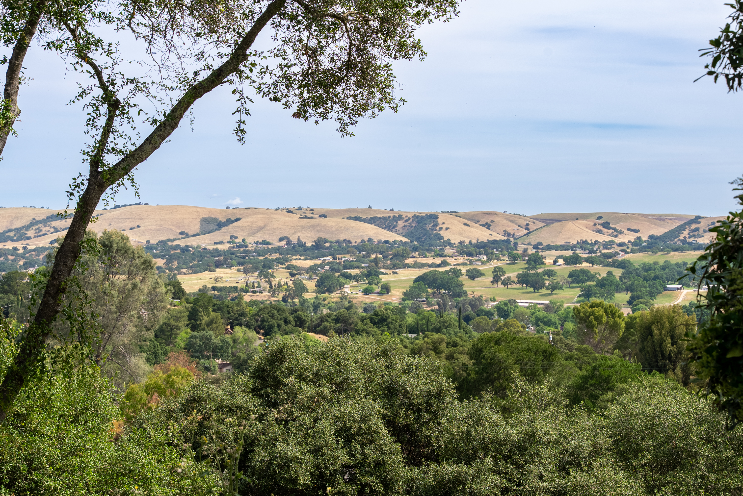 Come experience the slower pace of wine country living. 