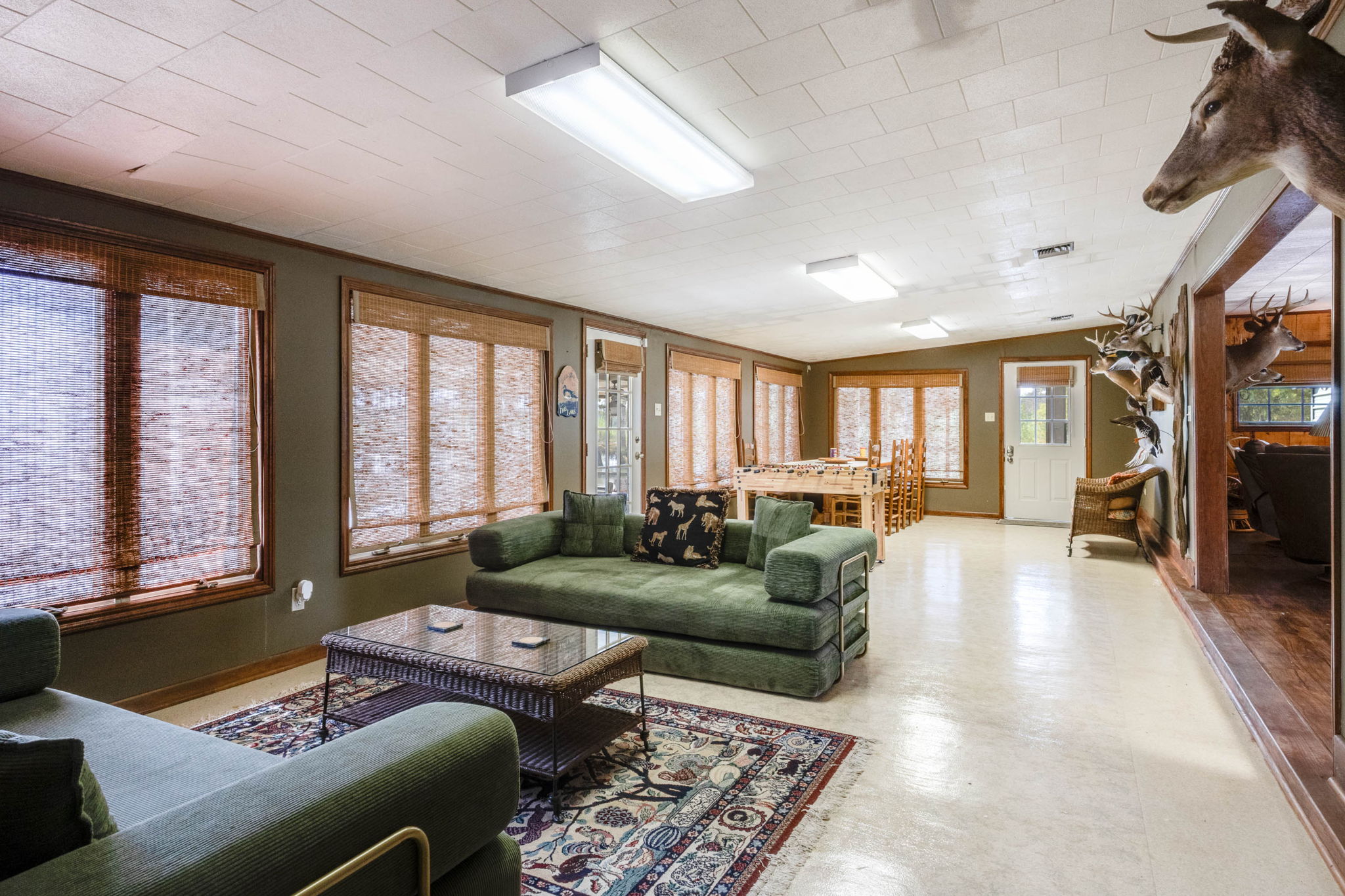 Living Room Sleeping Area