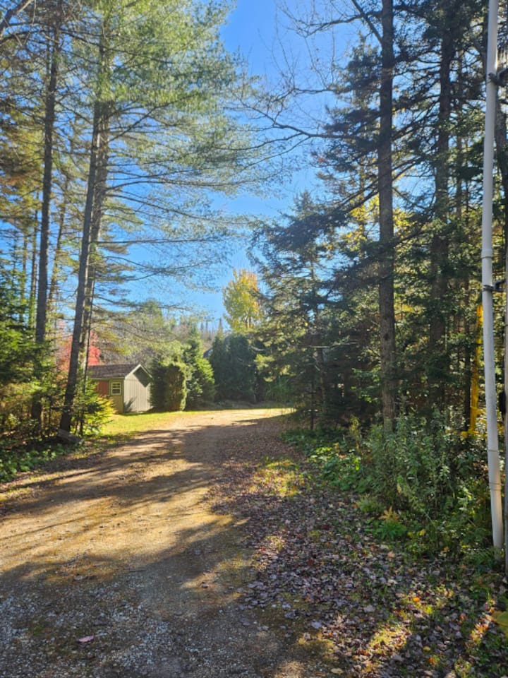 This is the driveway that leads you up to the home! 