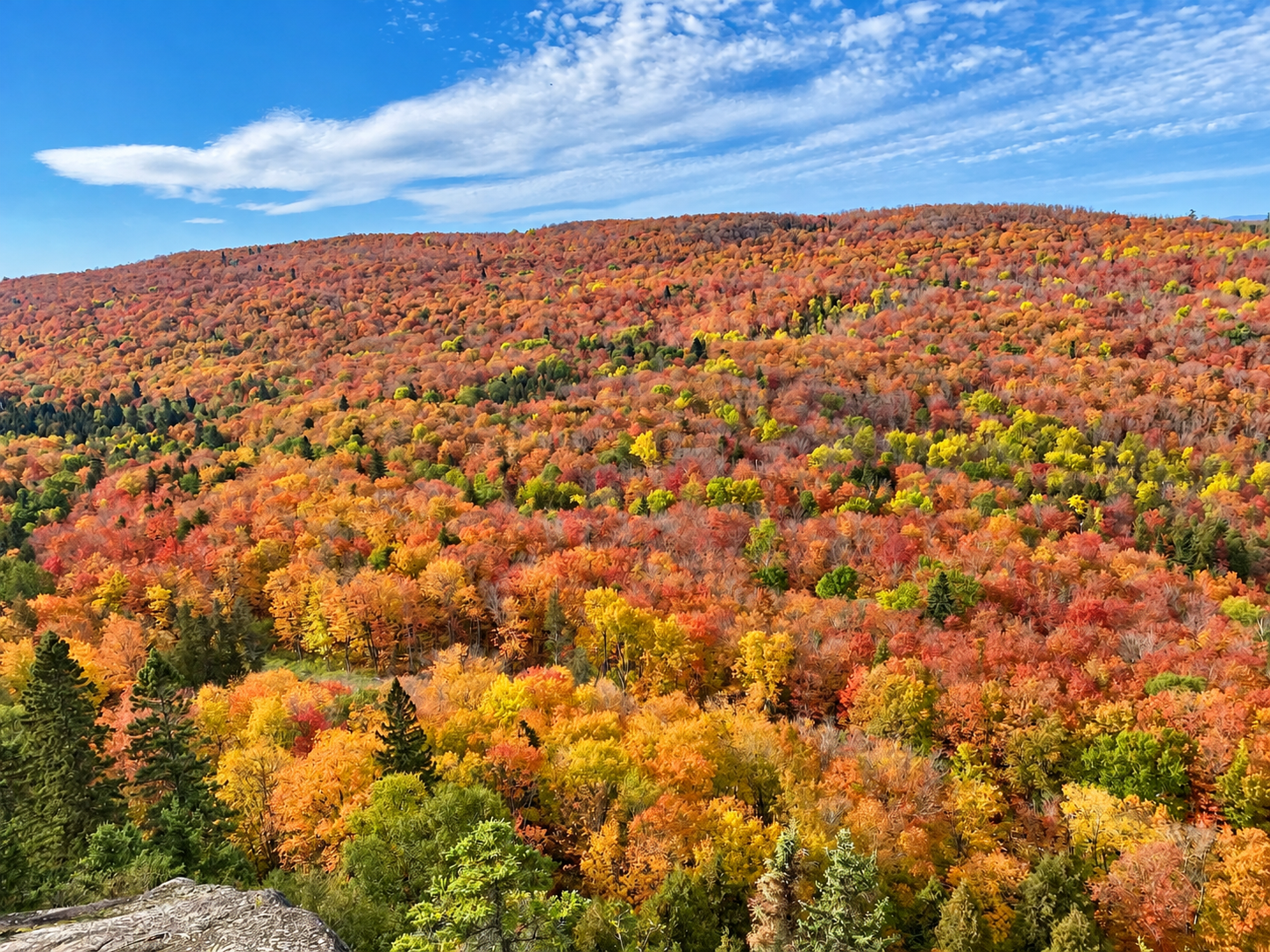 Take the gondola and chase fall colors without hiking.