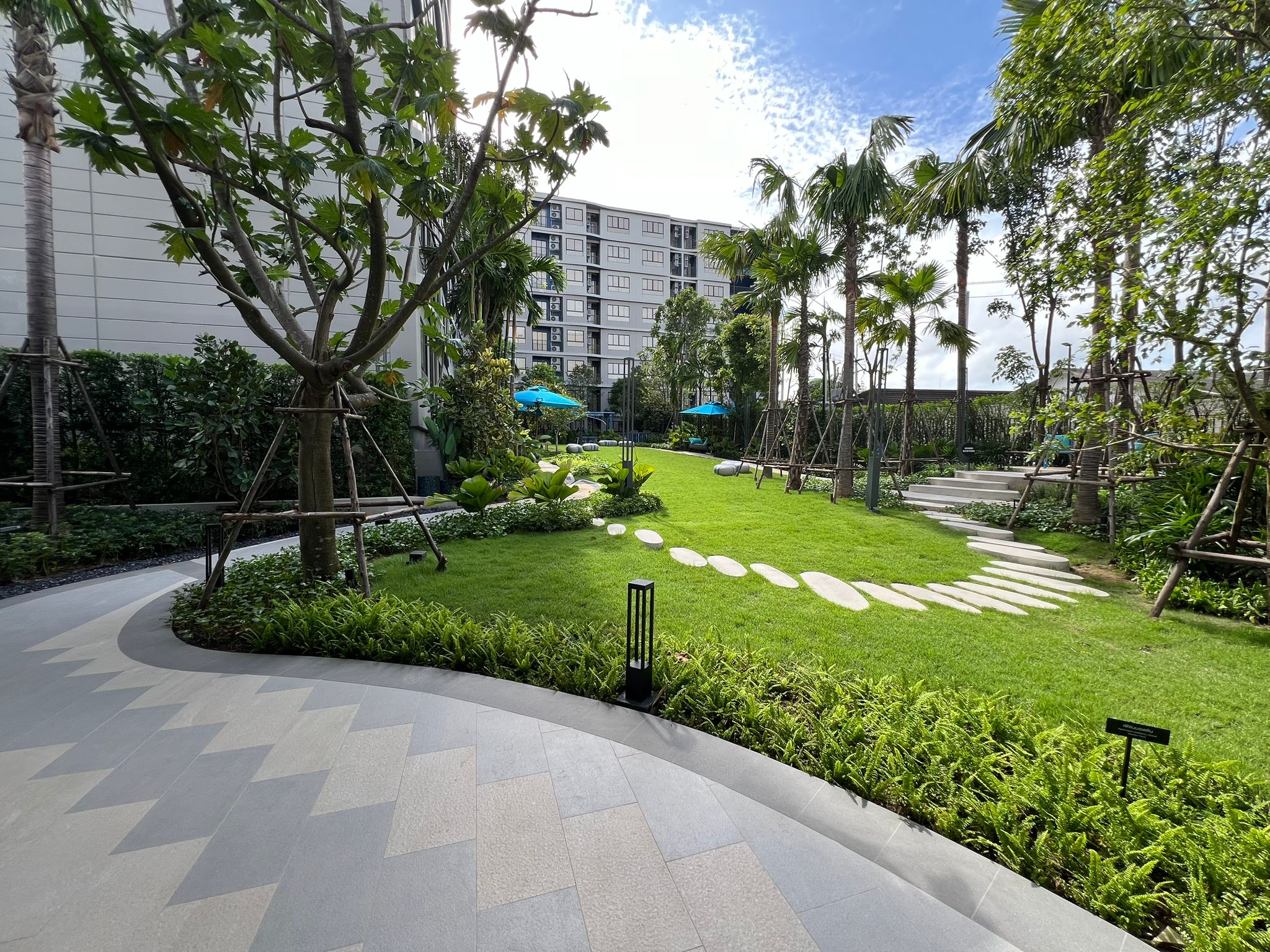 Discover a garden adorned with a diverse array of beautiful plants to make you feel truly at ease. Indulge in the delightful fragrance of flowers and experience the air-purifying benefits of lush greenery beneath the cool shade of rambling trees.