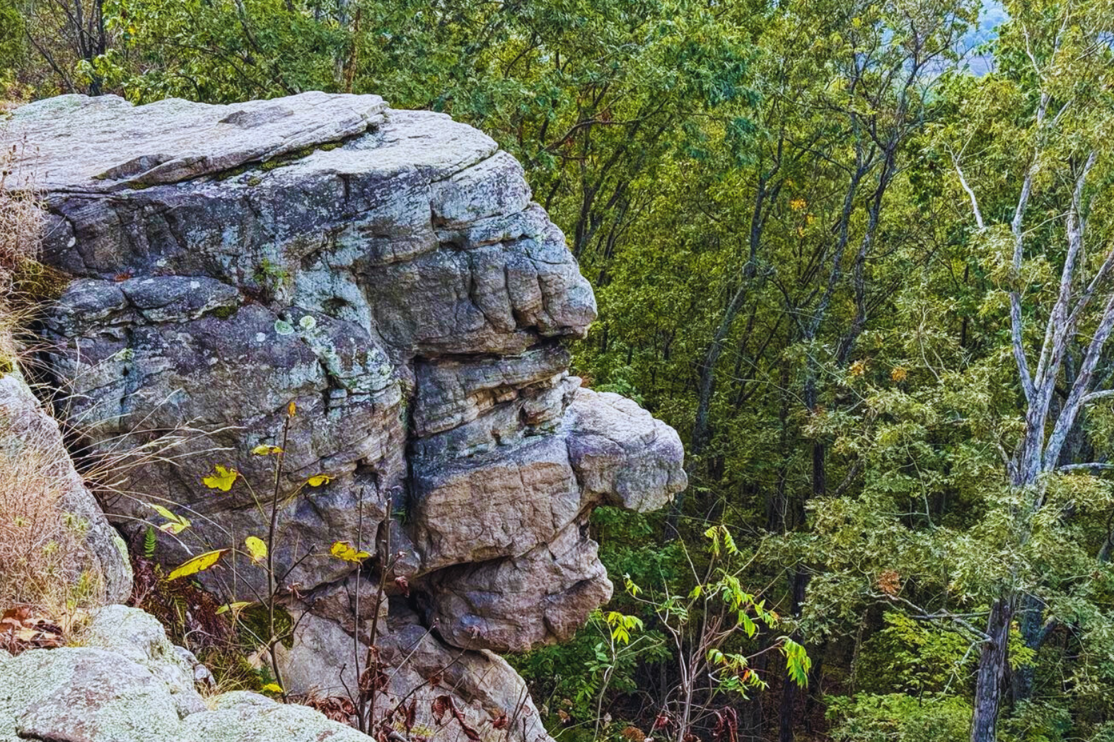 Old Stone Face- 15 minutes