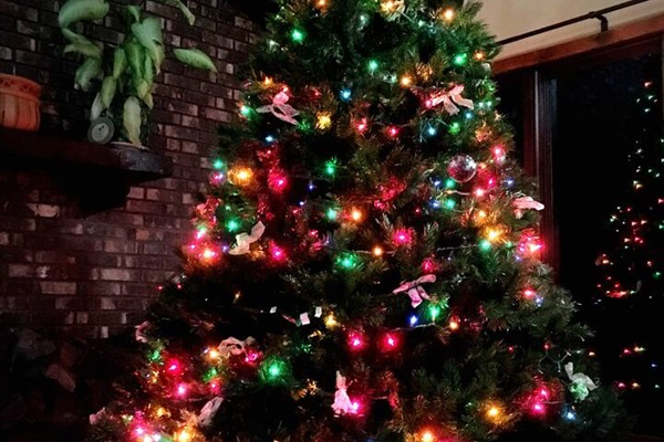 Ask us about setting up Christmas decor for you!