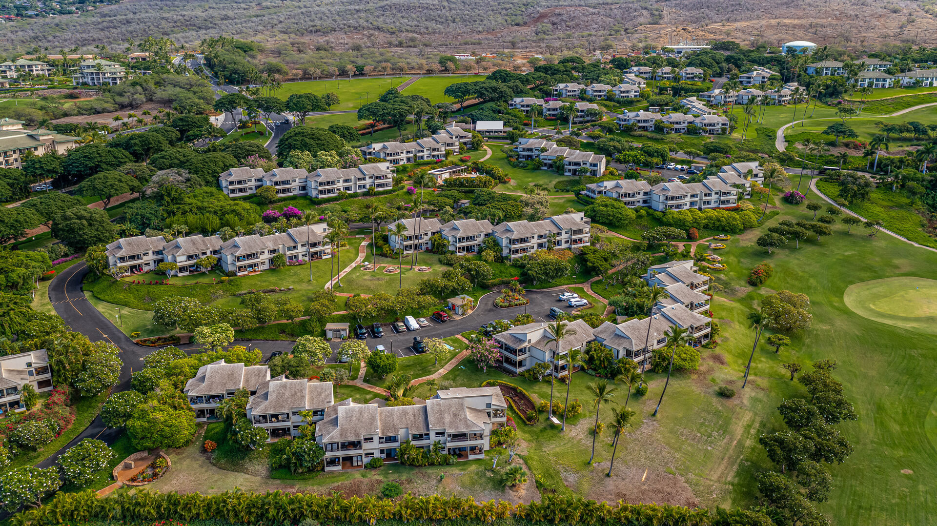 Wailea Ekolu