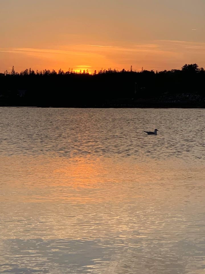View of sunset