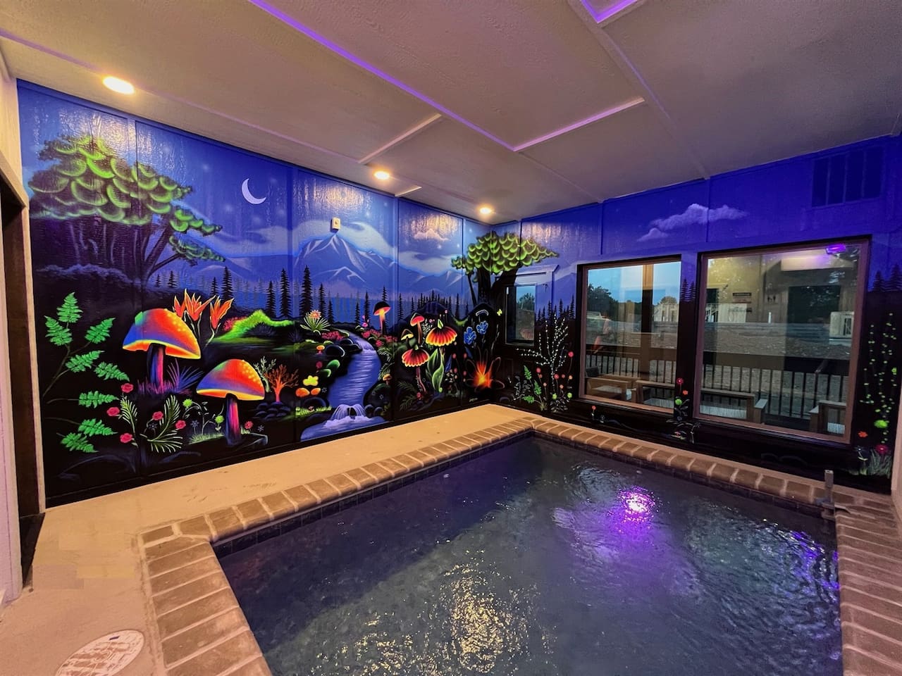 Welcome to this Smoky Cabin where style meets luxury, fun and relaxation making for a perfect mountain getaway! It includes several high end amenities including this never-seen-before GLOW-IN-THE-DARK indoor dipping pool area. 