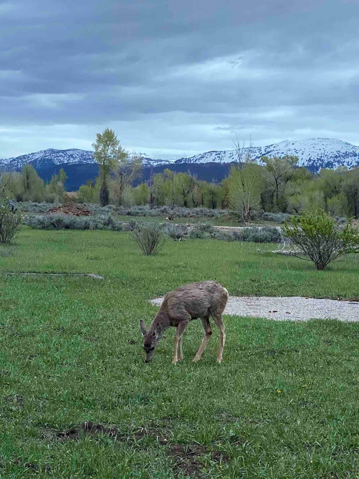Frequent visitors