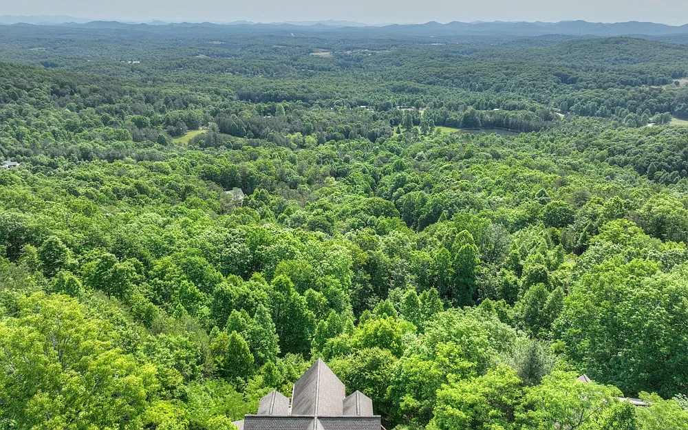 A sea of green, a breath of peace.