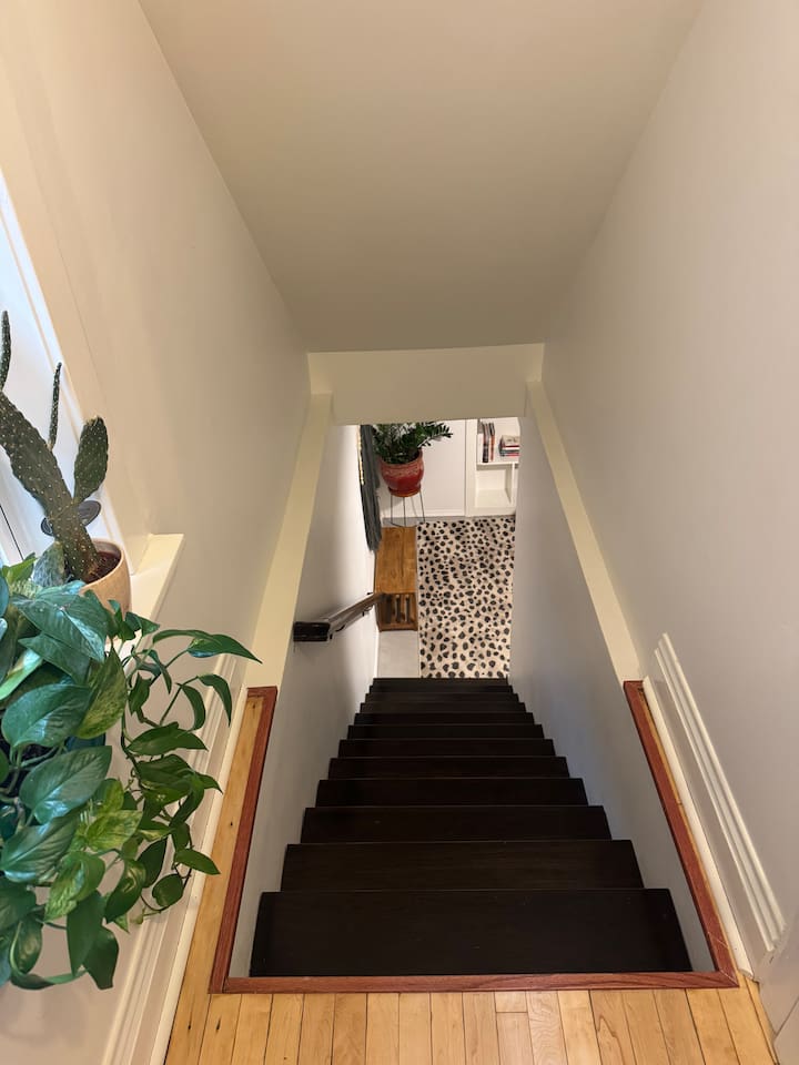 Stairway connecting the spacious room of the home.