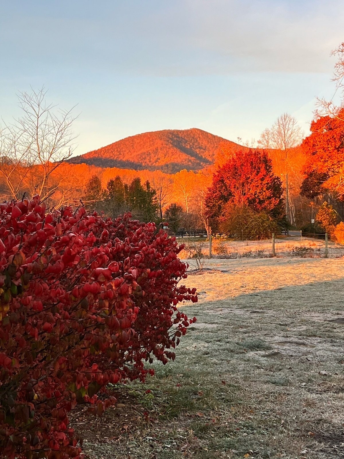 Fall colors 