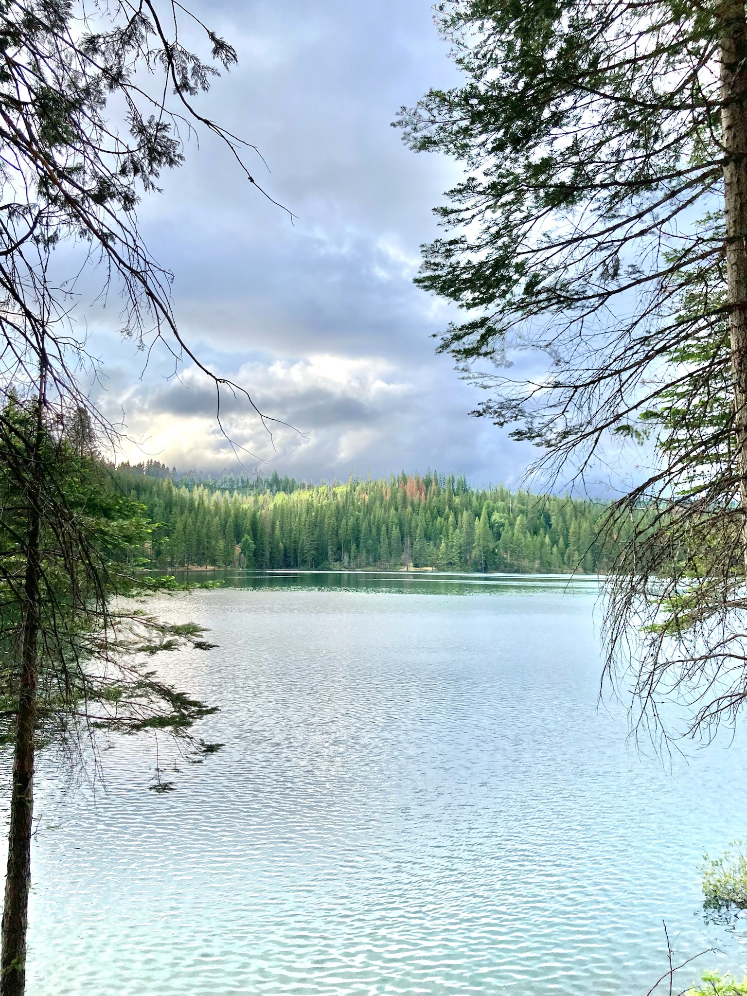 Lions Dam
