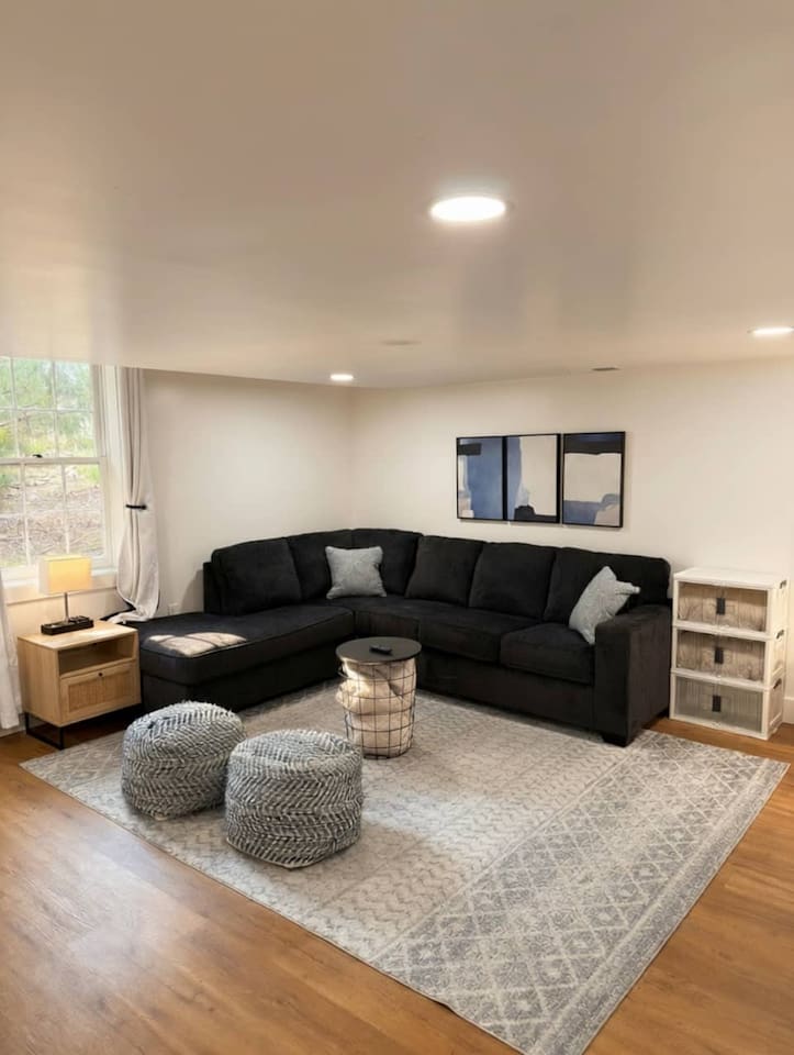 Basement living area