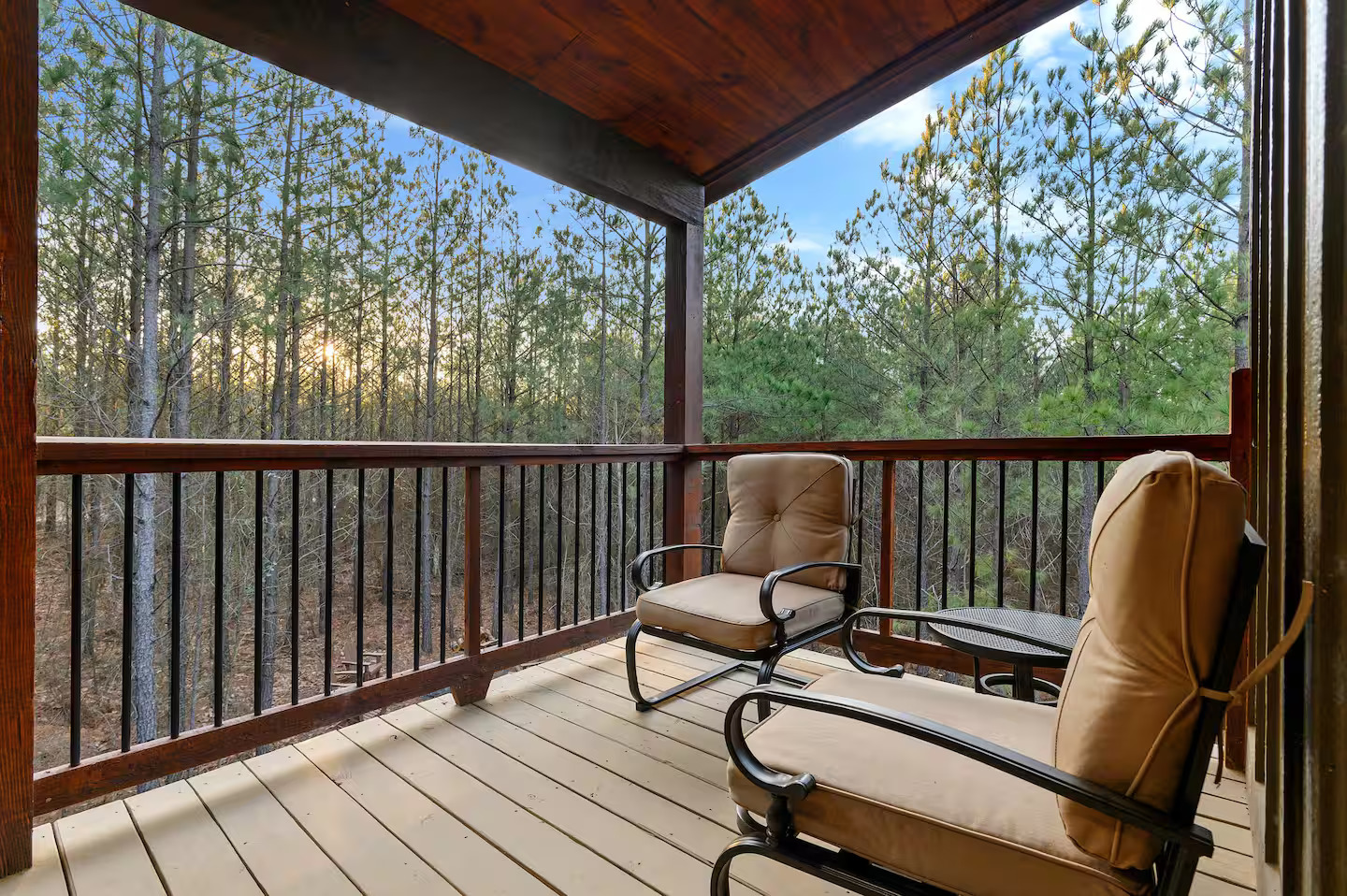 Every angle of this luxury cabin celebrates the outdoors — spacious seating, natural wood details, and peaceful forest views for everyone to enjoy.